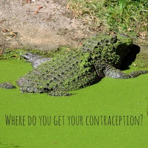 sex ed alligator dung contraception